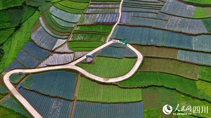 金陽(yáng)縣南瓦鎮(zhèn)絲窩中心村高山蔬菜基地的水泥路。鄒寧攝