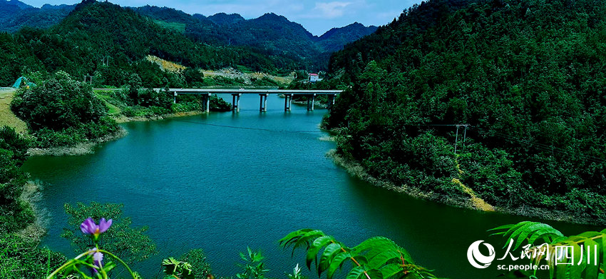 夏日千鳥湖。黃其均攝