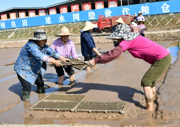 四川省舉行2022年春灌放水啟動活動4月25日，2022年四川省春灌放水啟動活動在德陽舉行。