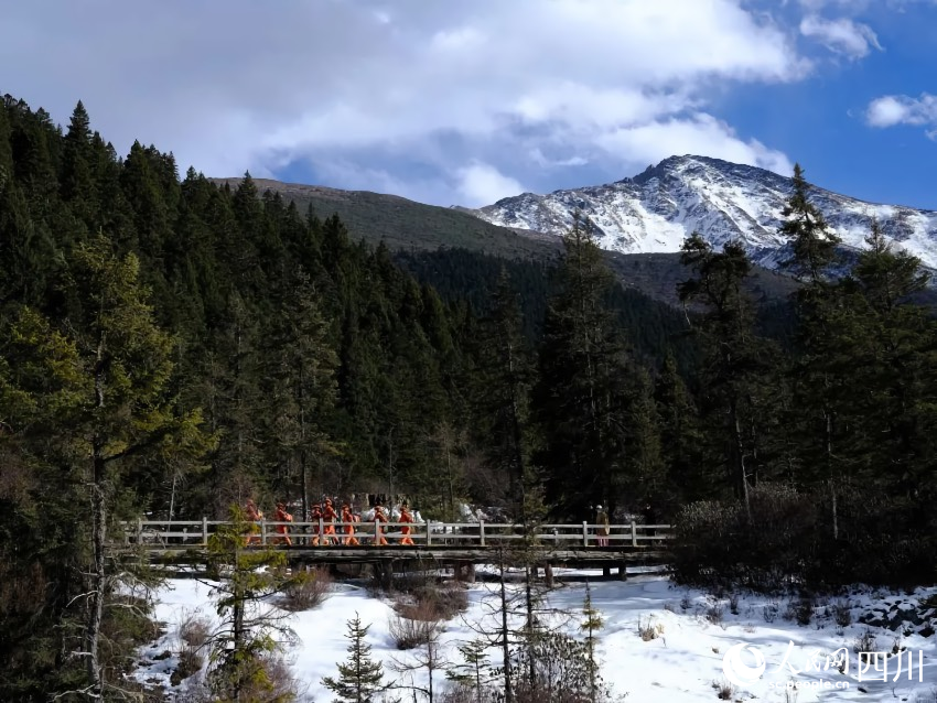 穿行在林海中的“橘紅色”。程雪力攝