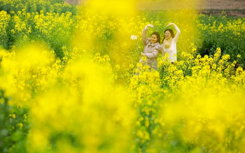 四川廣安：花開引客來 田園風(fēng)光美