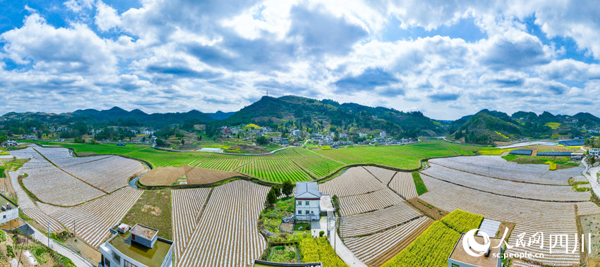 萬(wàn)象“耕”新。李驍攝