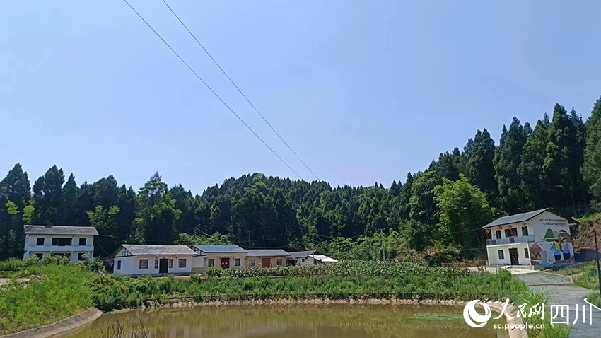 寶梵村村景。吳舒婷攝