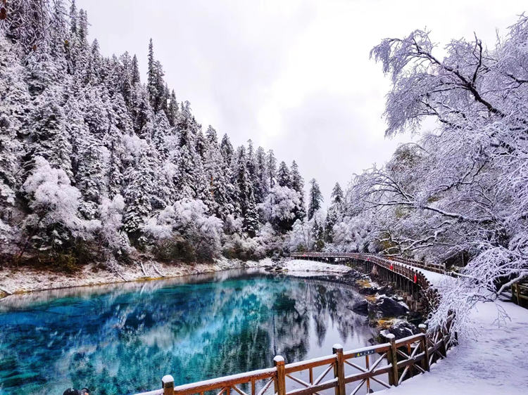 雪景中的五彩池。九管局供圖