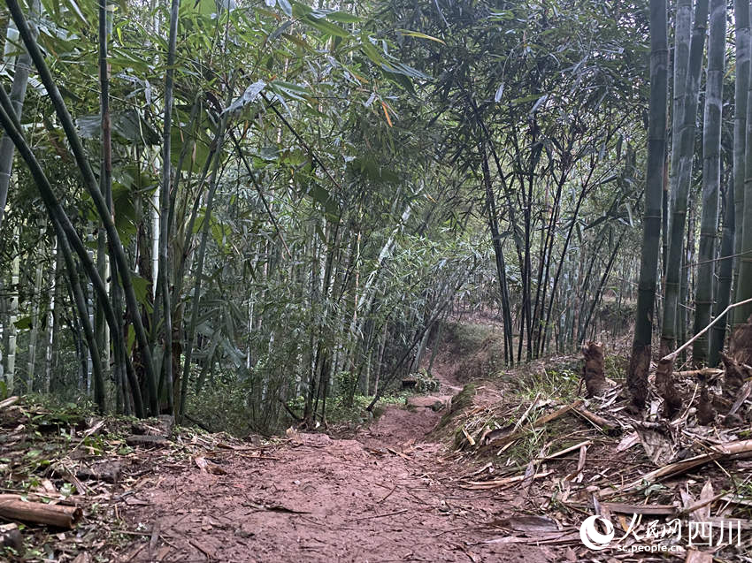 當(dāng)?shù)爻掷m(xù)降雨，山村道路濕滑。人民網(wǎng) 王凡攝