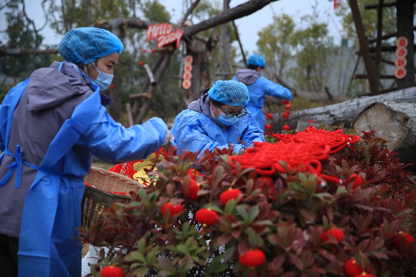 場(chǎng)景布置。成都大熊貓繁育研究基地供圖