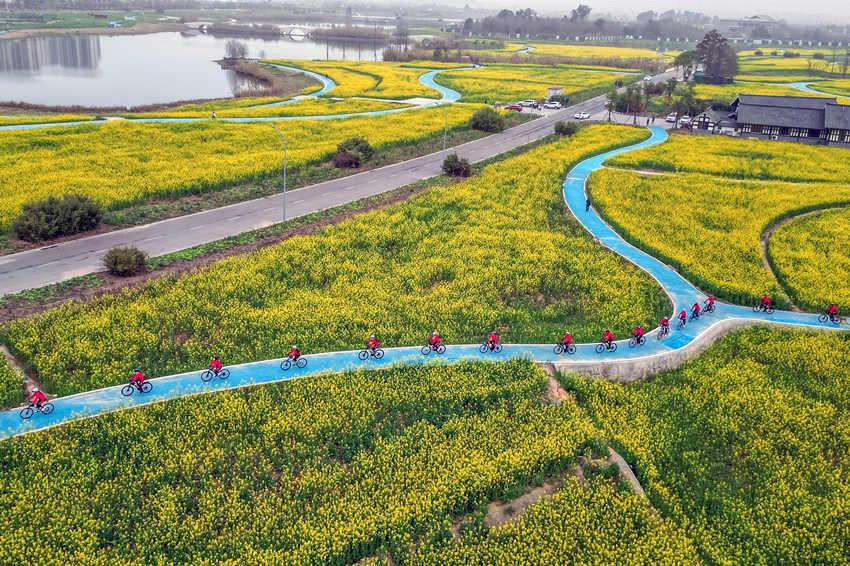 騎行愛好者在四川省眉山市彭山區(qū)“五湖四海”濕地公園綠道騎行賞花。翁光建攝