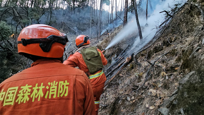 消防隊(duì)員挺身而出。四川省森林消防總隊(duì)供圖