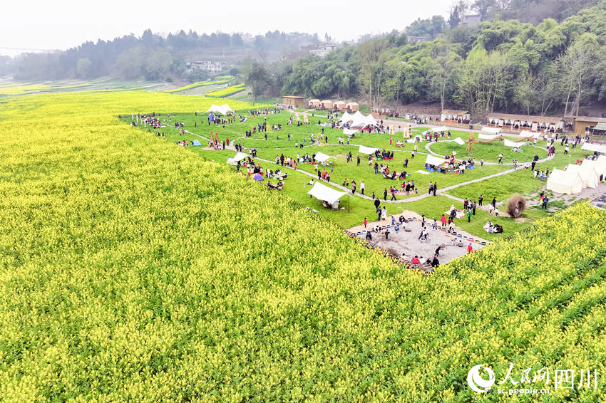 眾多游客前來露營(yíng)賞花。李貴平攝