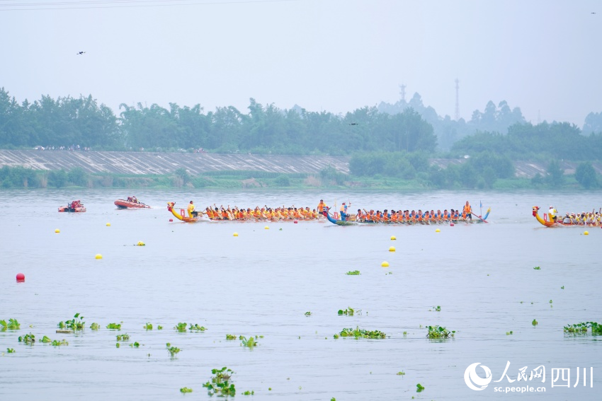 龍舟賽現(xiàn)場。人民網(wǎng) 趙祖樂攝