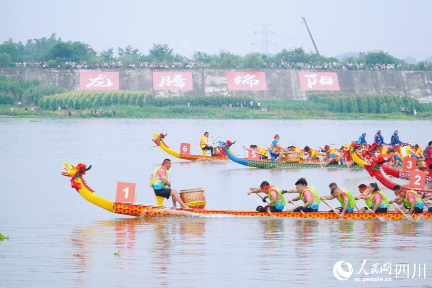 龍舟賽現(xiàn)場。人民網(wǎng) 趙祖樂攝