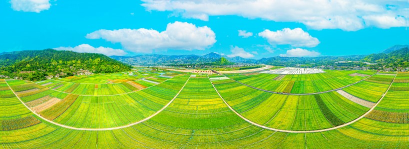 米易稻菜輪作產(chǎn)業(yè)園（四川省五星級現(xiàn)代化農(nóng)業(yè)園區(qū)）。米易縣融媒體中心供圖