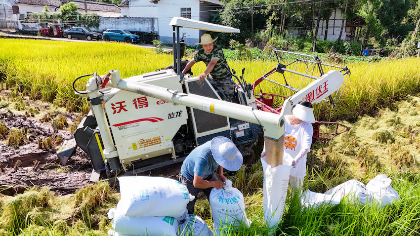 村民們正在裝袋、打包。張書浩供圖