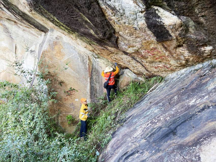 高溫下，達州工務段職工正在進行搜山掃危。崔建銀攝 