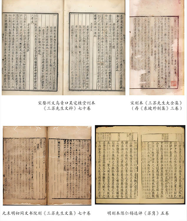 搜集到《三蘇先生文集》的相關(guān)資料。主辦方供圖