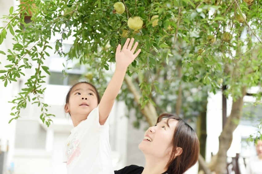 支持兒童成長。成都市金牛區(qū)機(jī)關(guān)第三幼兒園供圖