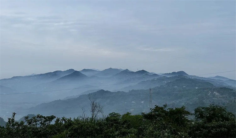 歸院·歸與隱的景色。天府新區(qū)融媒體中心供圖