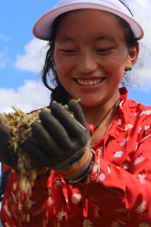 白玉縣贈(zèng)科鄉(xiāng)下比沙村千畝青稞共富田園種植基地，村民手捧青稞滿臉笑容。