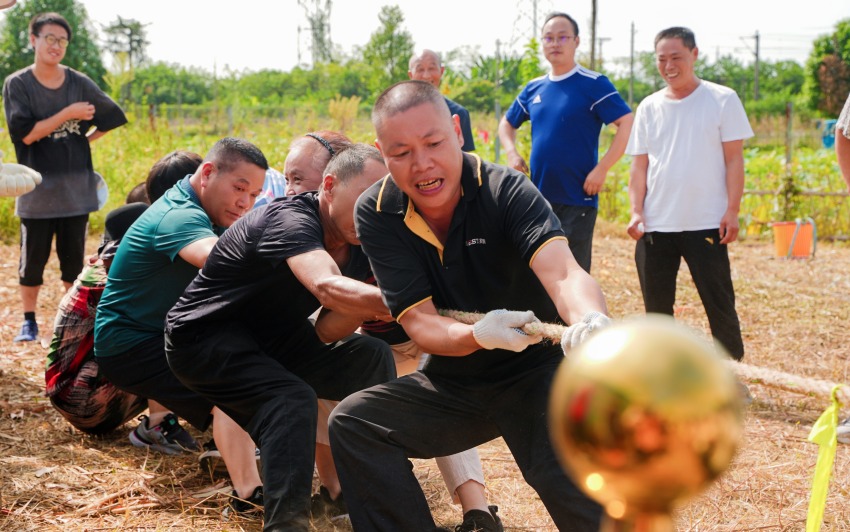 正在進(jìn)行拔河比賽。青白江區(qū)委宣傳部供圖