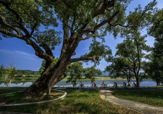 武夷山國家公園1號風(fēng)景道（南平崇陽溪段）。吳大灼 攝